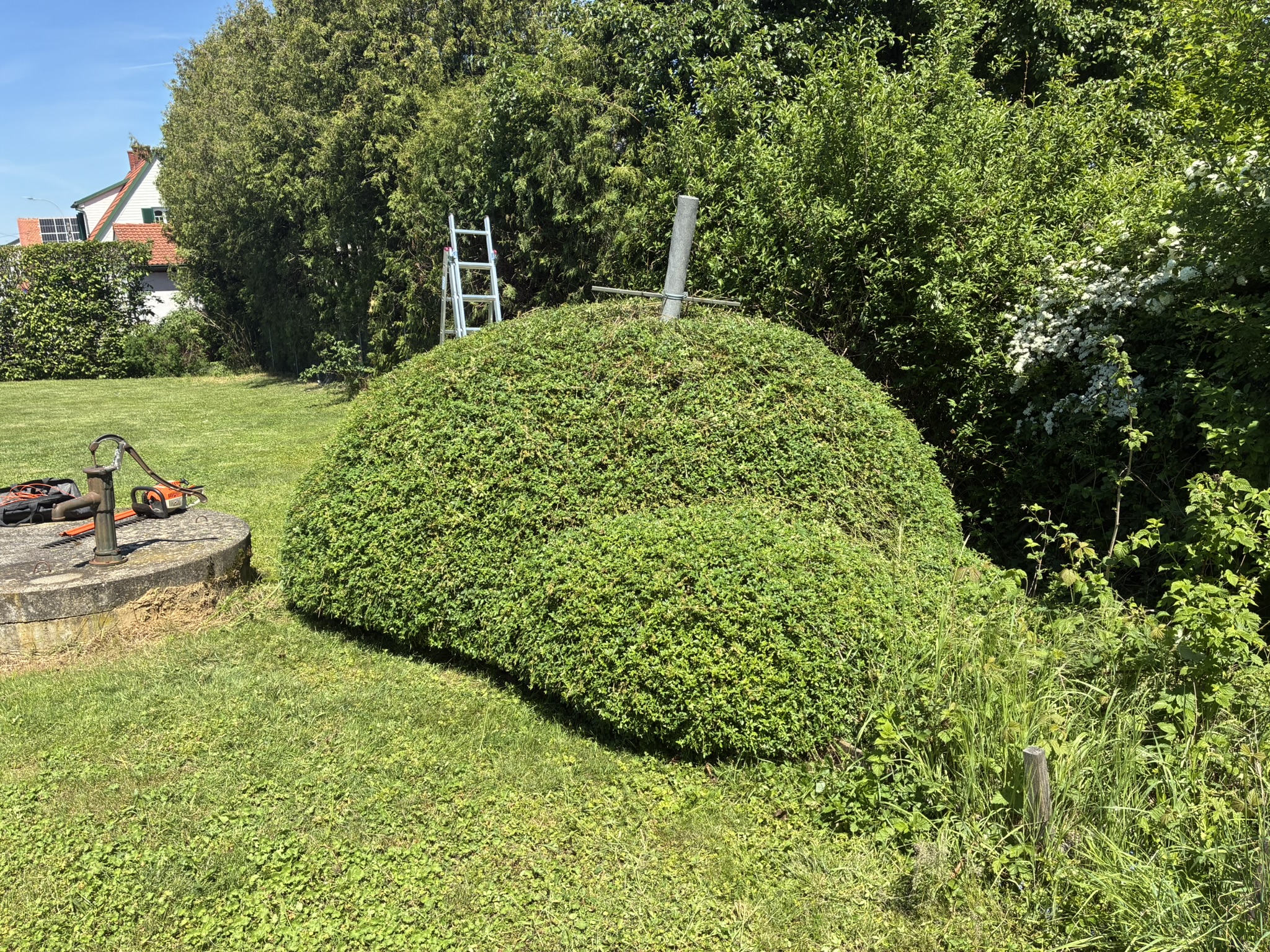 Gartenarbeit